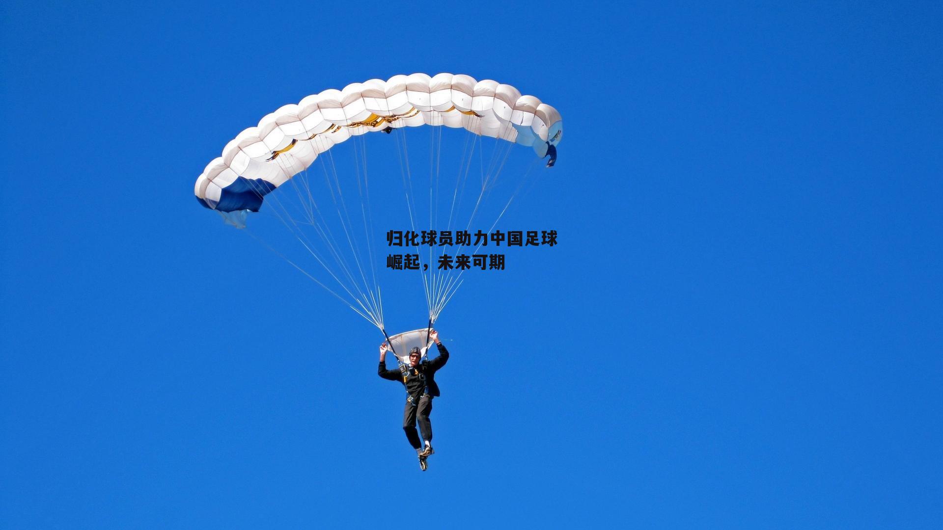 归化球员助力中国足球崛起,未来可期