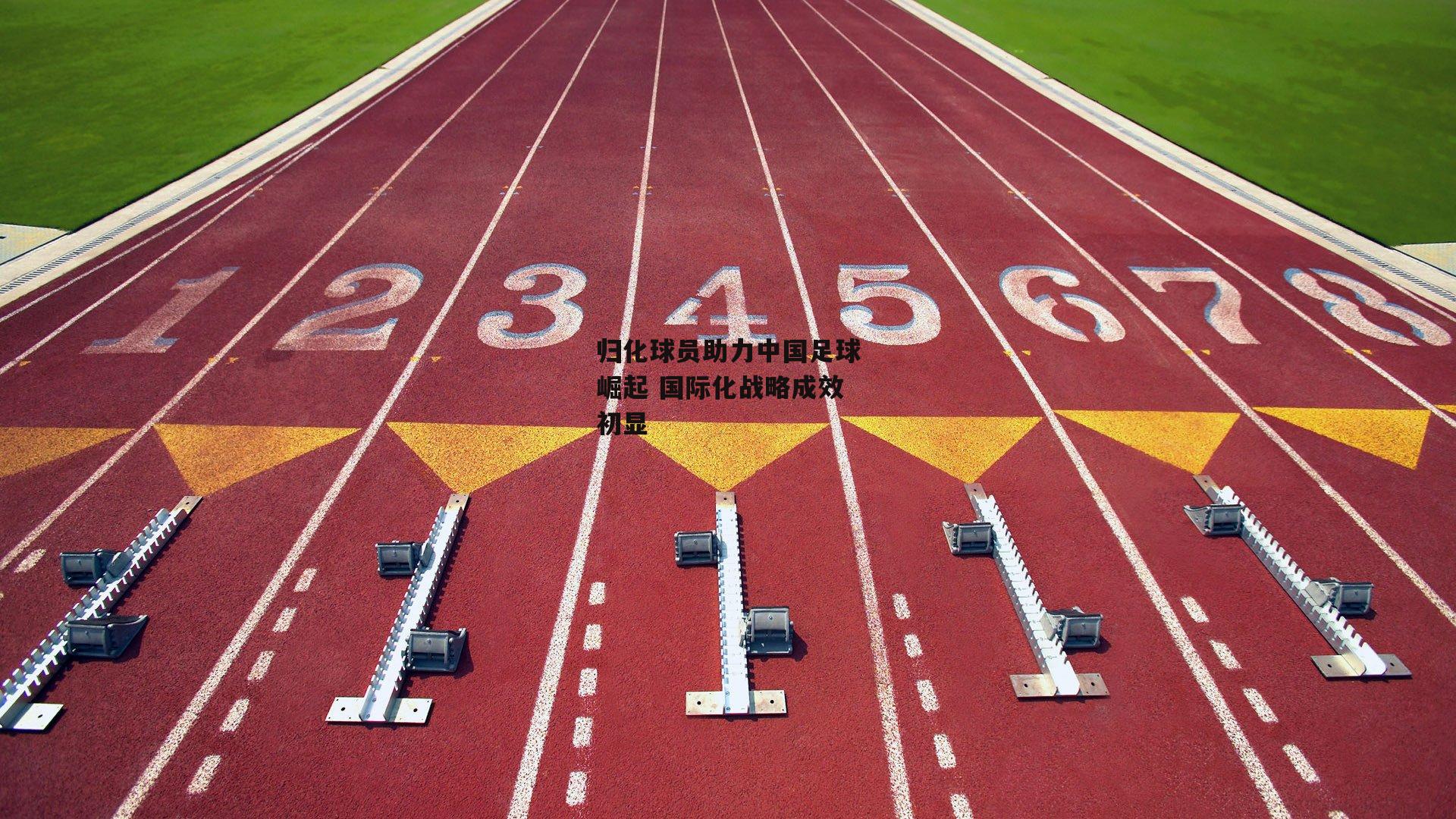 归化球员助力中国足球崛起 国际化战略成效初显