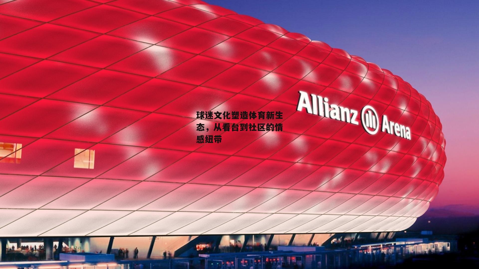 球迷文化塑造体育新生态，从看台到社区的情感纽带
